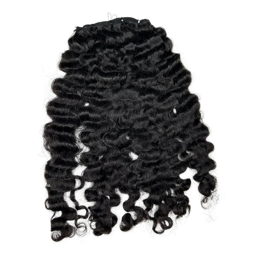 Sadity Burmese Curl
